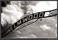 Elmwood In B&W