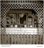 Porch and Plants, 2009